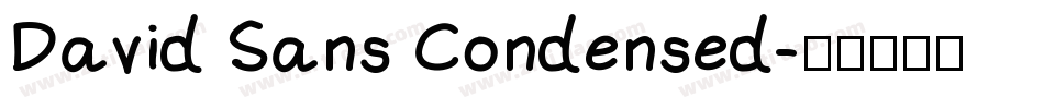 David Sans Condensed字体转换